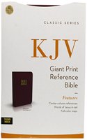 Holy Bible/Giant Print With Center-Column Reference 893Bgi Burgundy