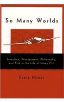 So Many Worlds: Invention, Management, Philosophy, and Risk in the Life of Leroy Hill