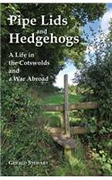 Pipe Lids and Hedgehogs