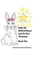 Bella the Biblical Bunny and The First Christmas