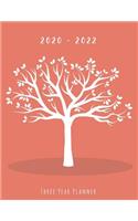 Three Year Planner 2020-2022