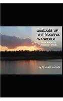 Musings of The Peaceful Wanderer
