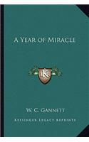 A Year of Miracle