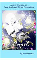 Angels Amongst Us - True stories of Divine Encounters