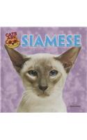 Siamese