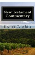 New Testament Commentary