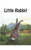 Little Rabbit