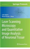 Laser Scanning Microscopy and Quantitative Image Analysis of Neuronal Tissue