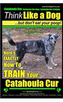 Catahoula Cur, Catahoula Cur Dog, Catahoula Cur Training - Think Like a Dog But Don't Eat Your Poop! - Catahoula Cur Breed Expert Training