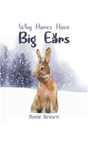 Why Hares Have Big Ears