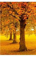 Beautiful Autumn Trees in the Park Journal