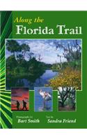 Along the Florida Trail