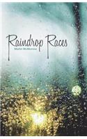 Raindrop Races