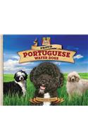 Proud Portuguese Water Dogs