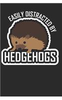 Easily Distracted By Hedgehogs