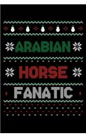 Arabian Horse Fanatic