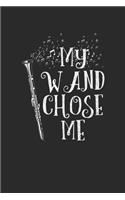 My Wand Chose Me