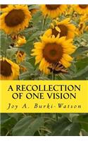 A Recollection of One Vision