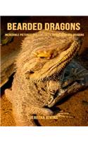 Bearded Dragons