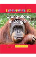 I Love Reading Fact Files 800 Words: Orang-utans in Danger