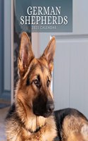 GERMAN SHEPHERDS 2023 SQUARE WALL CALEND
