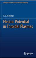 Electric Potential in Toroidal Plasmas