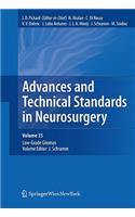 Advances and Technical Standards in Neurosurgery, Volume 35