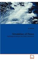 Simulation of Flows