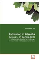 Cultivation of Jatropha curcas L. in Bangladesh