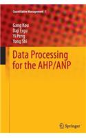 Data Processing for the Ahp/Anp