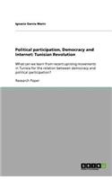 Political participation, Democracy and Internet