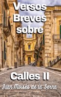 Versos Breves Sobre Calles II