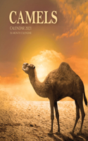 Camels Calendar 2021: 16 Month Calendar