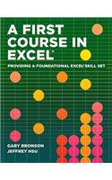 A First Course in Excel