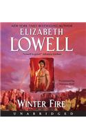 Winter Fire