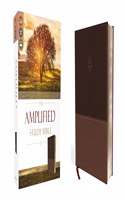 Amplified Study Bible, Imitation Leather, Brown