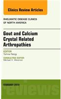 Gout and Calcium Crystal Related Arthropathies, An Issue of Rheumatic Disease Clinics