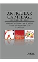 Articular Cartilage