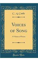 Voices of Song: A Volume of Poems (Classic Reprint): A Volume of Poems (Classic Reprint)