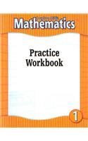 Houghton Mifflin Mathmatics: Practice Workbook Consumable Level 1 2002