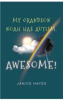My Grandson Noah has autism. Awesome!
