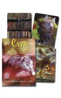 Cats Inspirational Oracle Cards