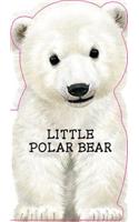 Little Polar Bear