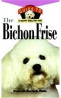 The Bichon Frise