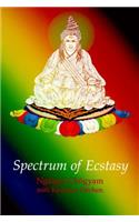 Spectrum of Ecstasy: Embracing Emotions as the Path