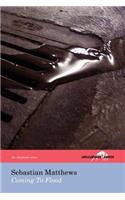 Coming To Flood (The Hollyridge Press Chapbook Series)
