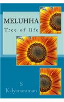 Meluhha