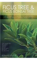 Ficus Tree and Ficus Bonsai Tree. The Complete Guide to Growing, Pruning and Caring for Ficus. Top Varieties