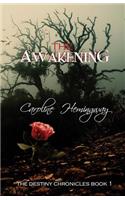 Awakening