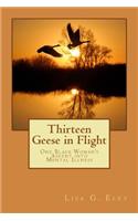 Thirteen Geese in Flight